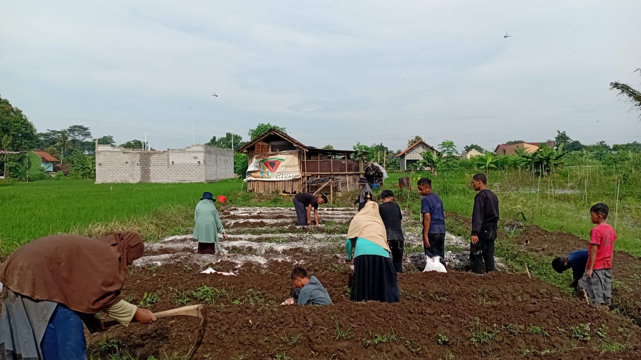budidaya sekolah alam yogyakarta